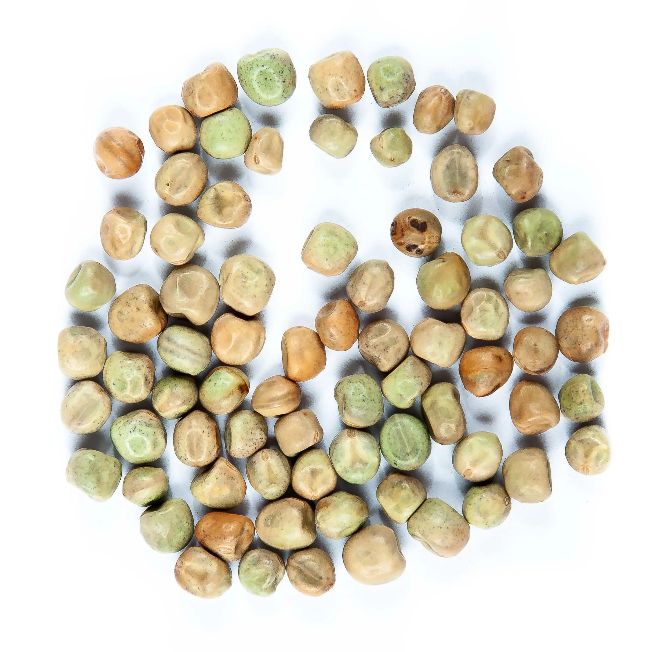 Borsó seed - mygreen.hu