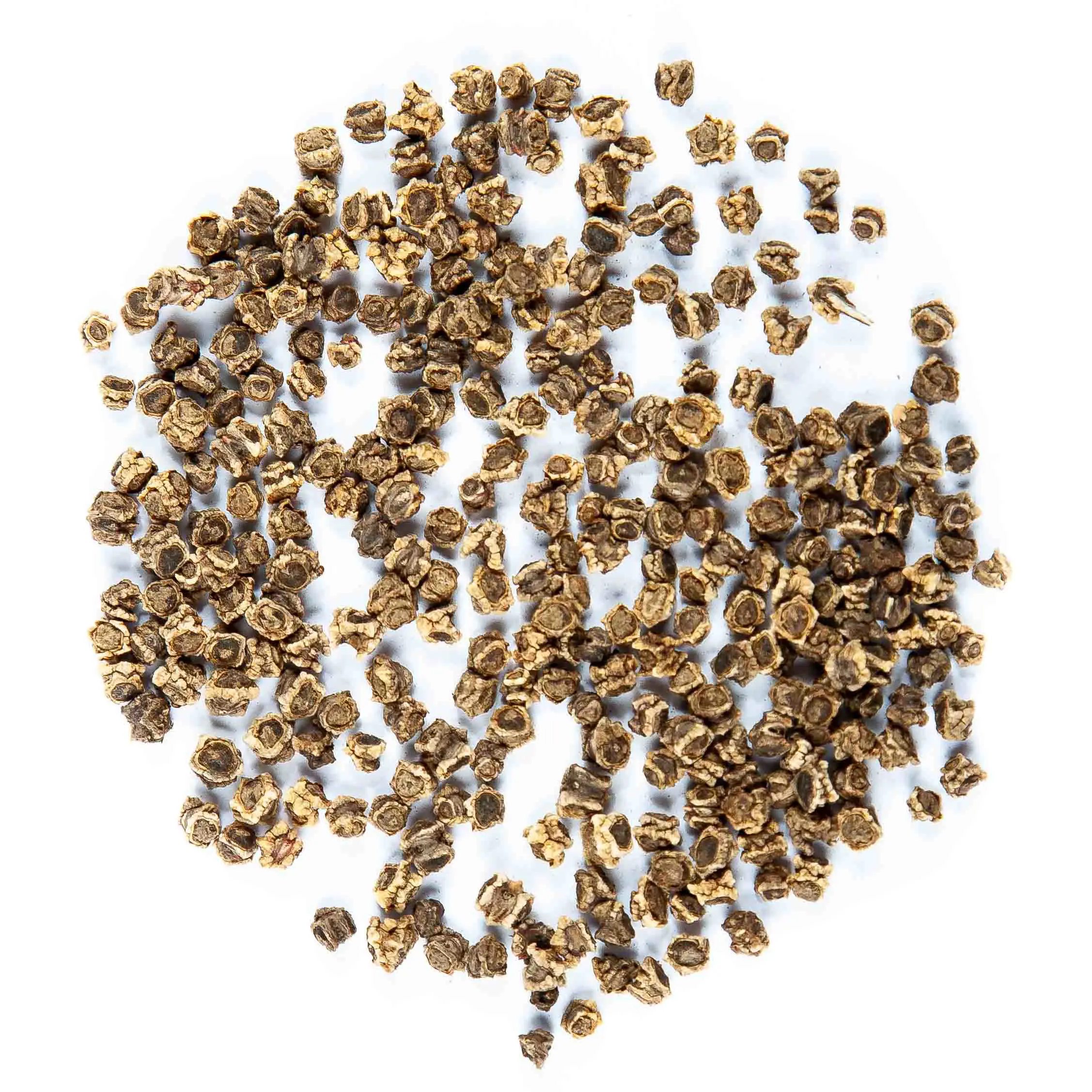 Cékla seed - mygreen.hu