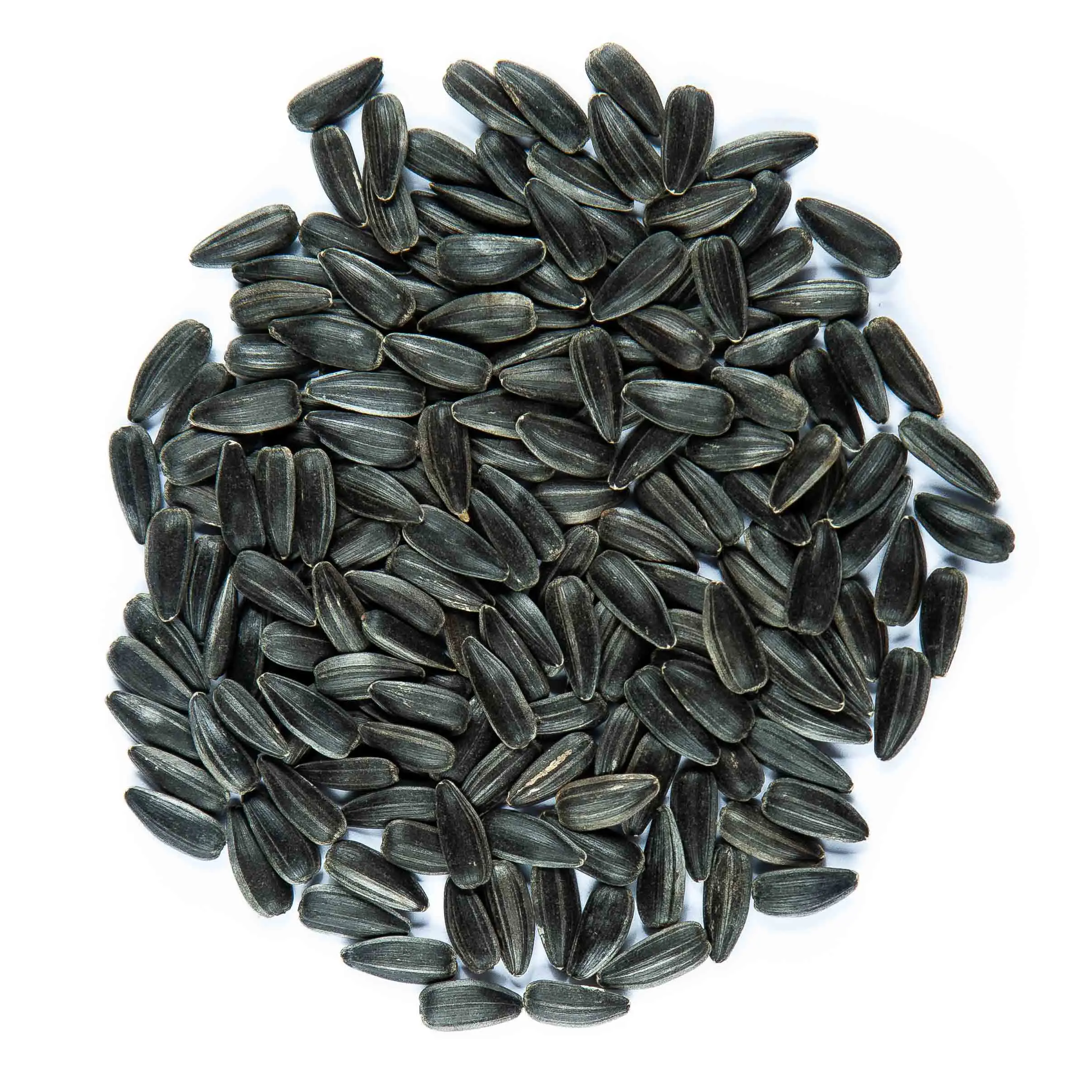 Napraforgó seed - mygreen.hu