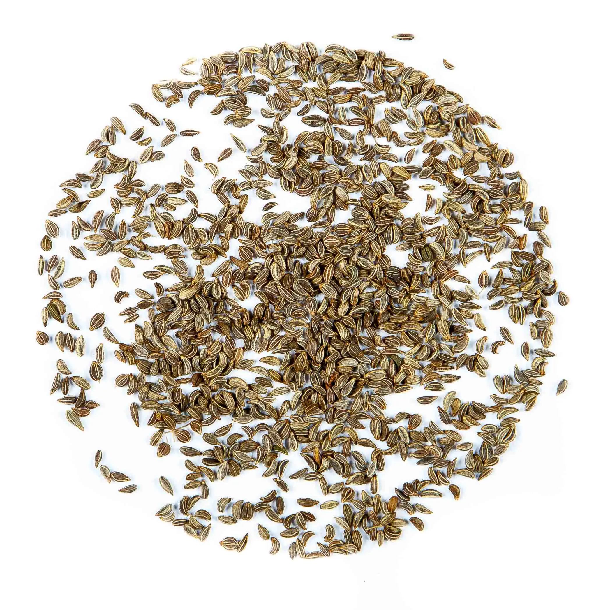Petrezselyem seed - mygreen.hu