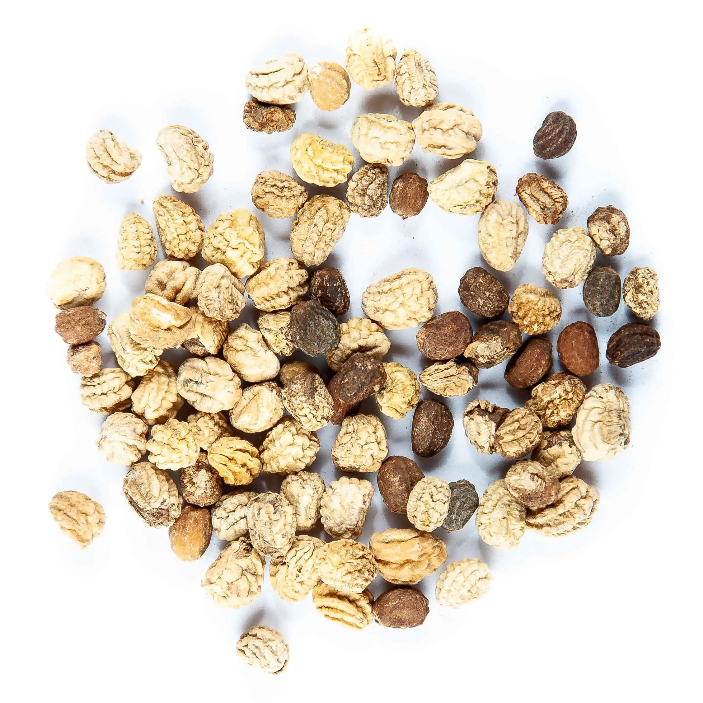 Sarkantyú seed - mygreen.hu