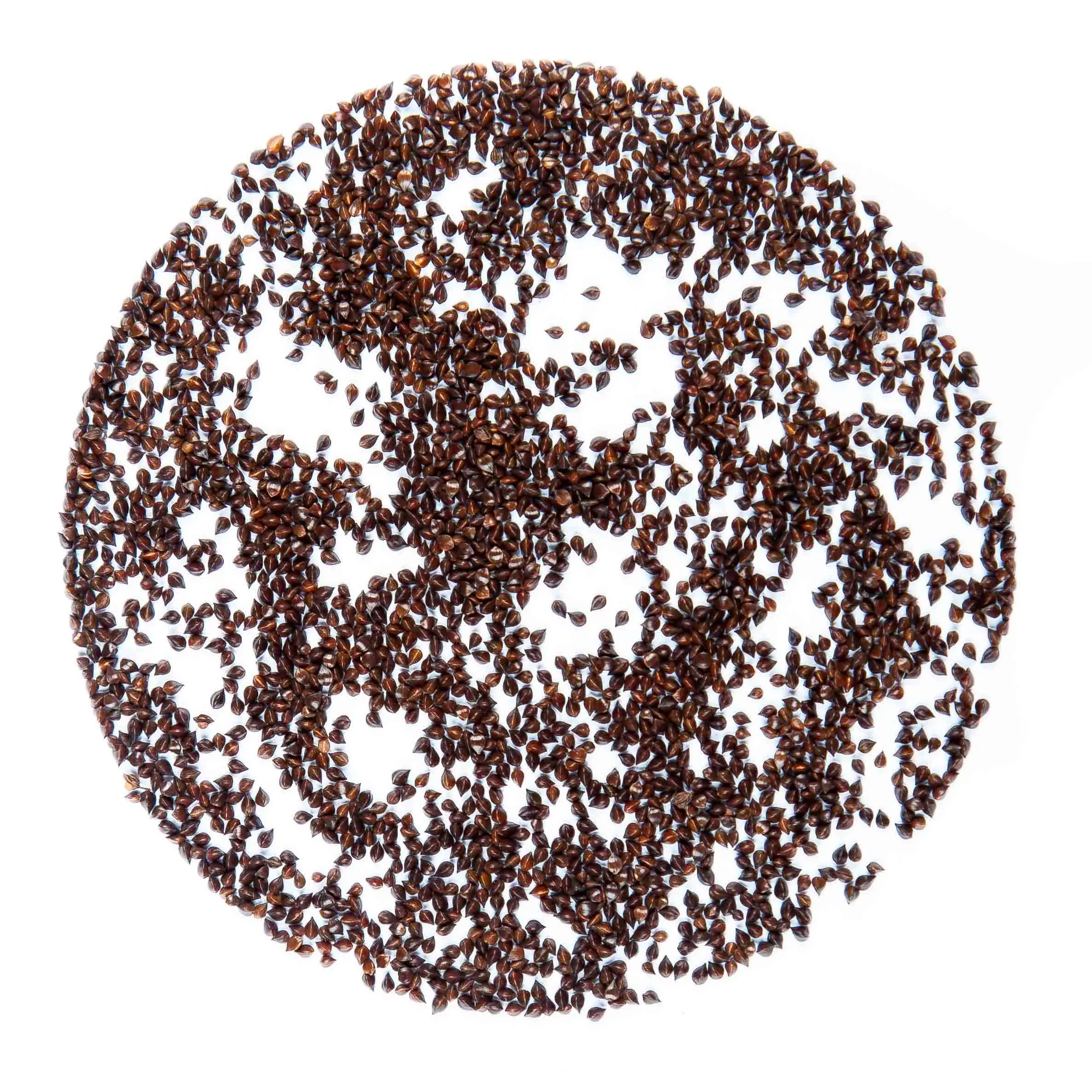 Shiso seed - mygreen.hu